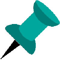 Pin Icon
